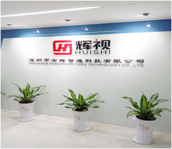 輝視公司 輝視公司