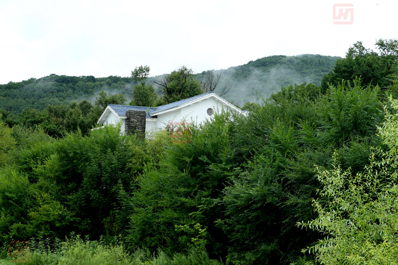 1494558655305052.jpg 簡介.jpg